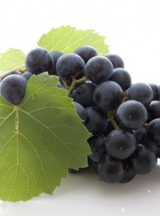 myrtilles-raisin-rouges-doper-systeme-immunitaire-vitamined-sante-200913276